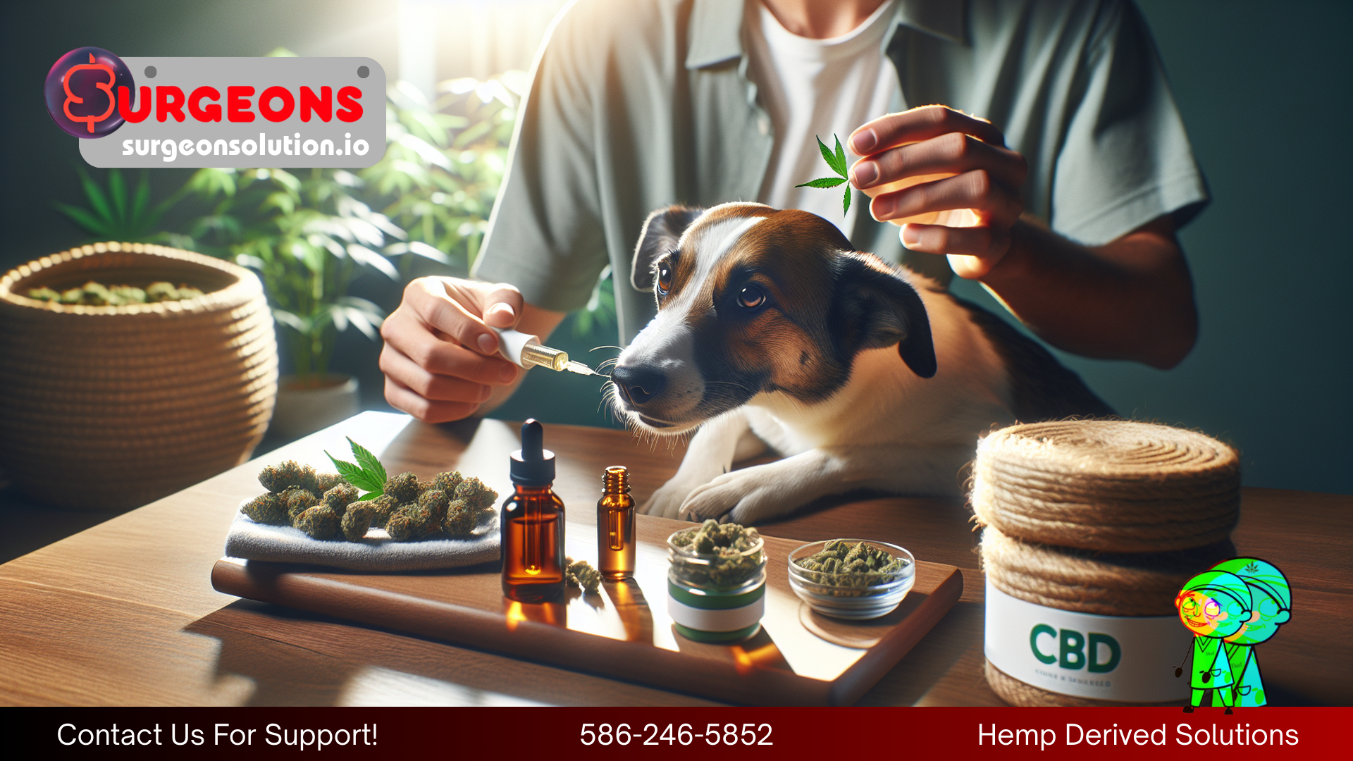 CBD for Dog Pain Relief: Complete Guide for Pet Owners in 2026